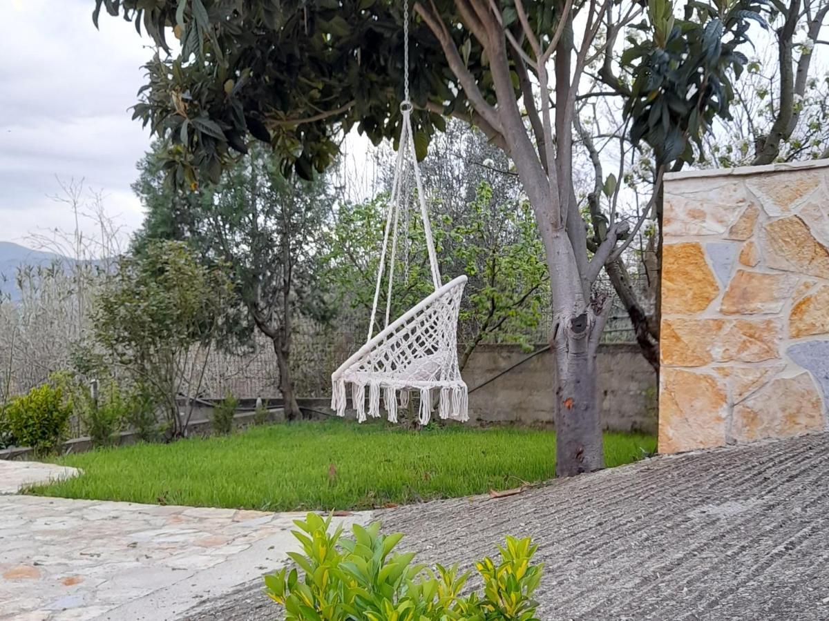 Cortina House Berat Διαμέρισμα Κουτσόβα Εξωτερικό φωτογραφία