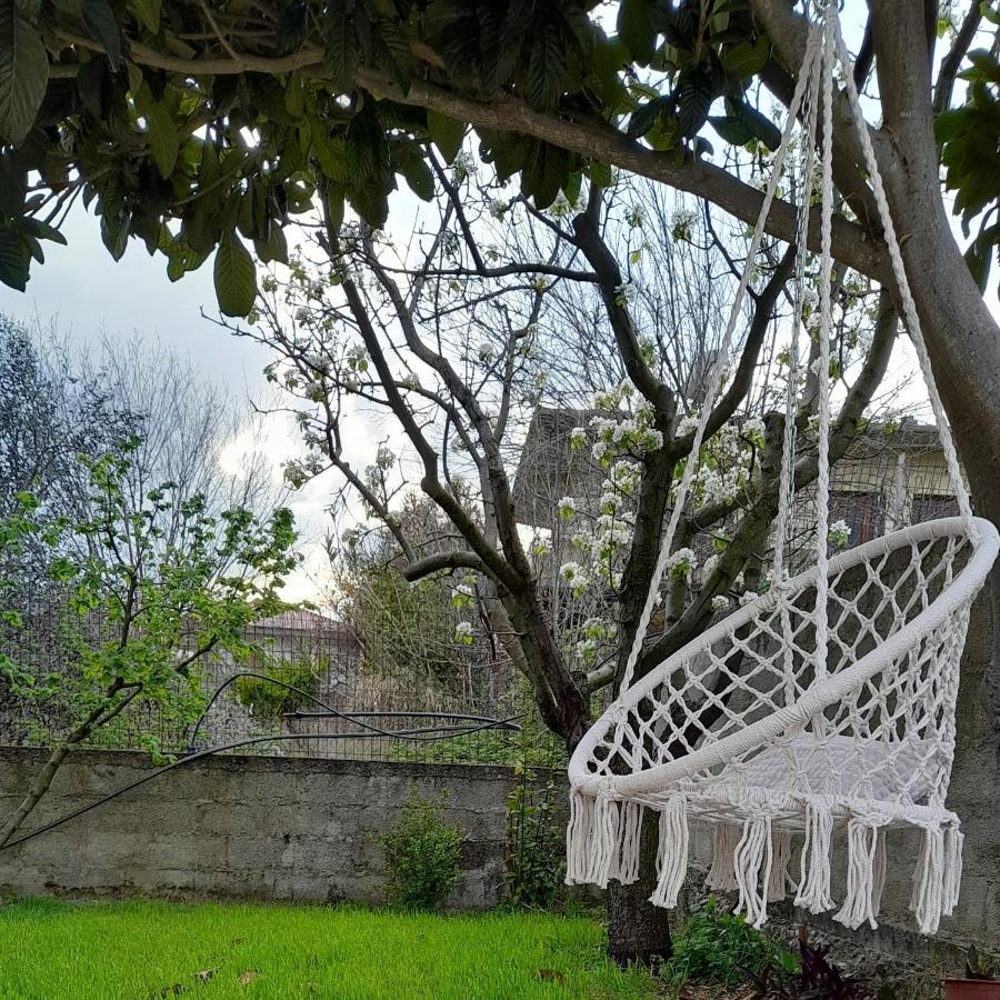 Cortina House Berat Διαμέρισμα Κουτσόβα Εξωτερικό φωτογραφία