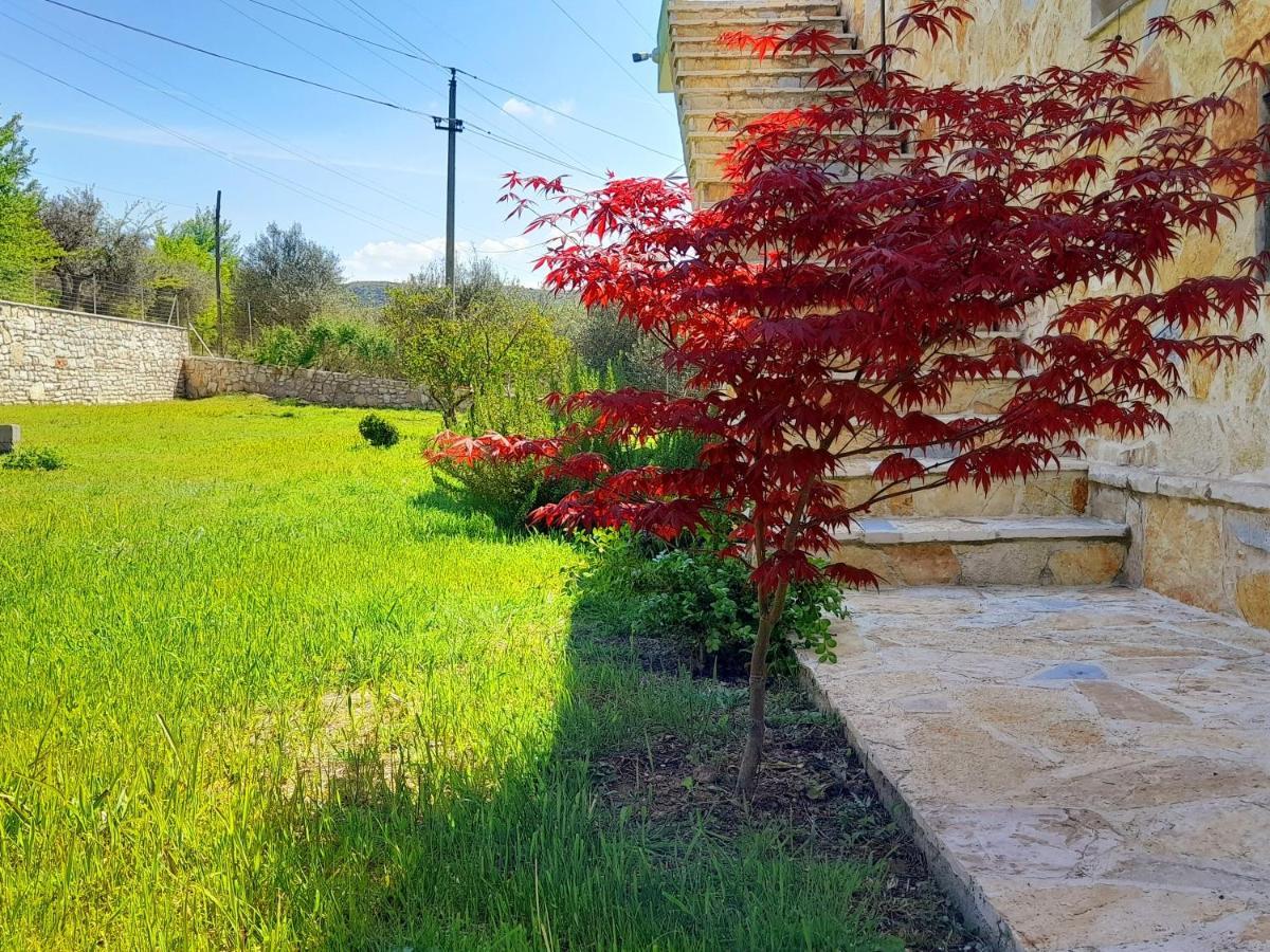 Cortina House Berat Διαμέρισμα Κουτσόβα Εξωτερικό φωτογραφία